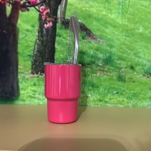 Tiny tumbler shot tumbler stainless steel in pink includes straw